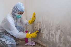 Forensic Mold Investigation